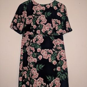 Straight Fitted Floral Mini dress